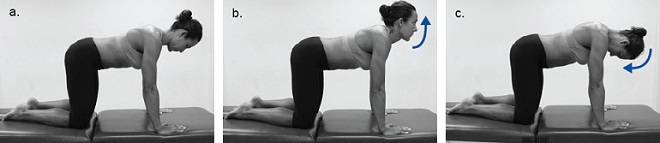 Photographs of a woman completing the neck bending and extension exercises in the four-point kneeling position