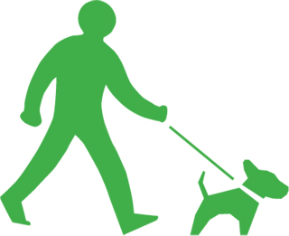 Active person walking a dog