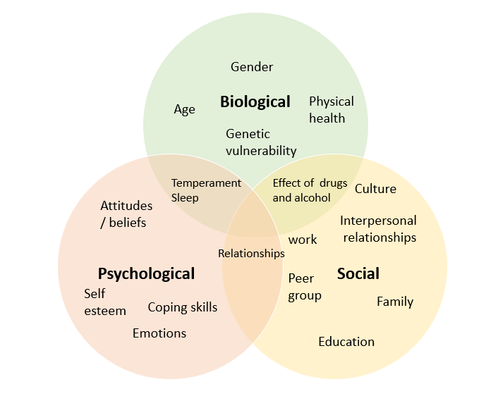A diagram showing the overlapping biological, psychological and social factors