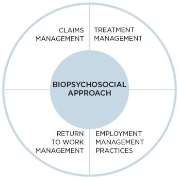 Diagram 1_Injury Management_Biopsychosocial